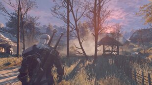 Игра The Witcher 3: Wild Hunt, PS4 цена и информация | Компьютерные игры | pigu.lt