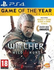 Игра The Witcher 3: Wild Hunt, PS4 цена и информация | Компьютерные игры | pigu.lt