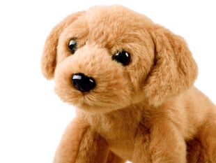 Pliušinis šuniukas, 13 cm kaina ir informacija | Minkšti (pliušiniai) žaislai | pigu.lt