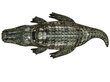 Pripučiamas krokodilas Bestway 193x94cm, žalias kaina ir informacija | Pripučiamos ir paplūdimio prekės | pigu.lt