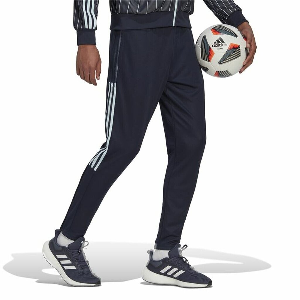 Sportinės kelnės vyrams Adidas, mėlynos kaina ir informacija | Sportinė apranga vyrams | pigu.lt