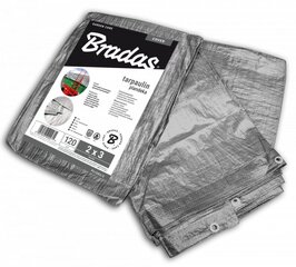 Sutvirtintas tentas Bradas Silver, 10 x 12 m, 120 g/m² kaina ir informacija | Sodo įrankiai | pigu.lt