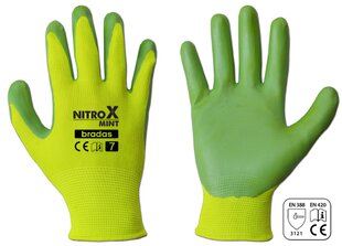 Sodo ir darbo pirštinės Bradas NITROX MINT, 6 dydis, 6 vnt. цена и информация | Pirštinės darbui sode M/25cm | pigu.lt