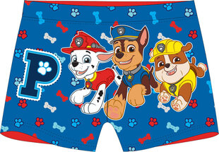 Maudymosi kelnaitės berniukams Paw Patrol, įvairių spalvų kaina ir informacija | Maudymosi šortai berniukams | pigu.lt