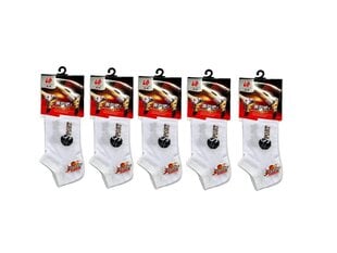 Комплект мужских носков (5 пар), размеры 39-42 цена и информация | Мужские носки | pigu.lt