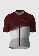 Dviratininko marškinėliai Burgundy-White Classic 2.0, raudoni/pilki/balti kaina ir informacija | Dviratininkų apranga | pigu.lt