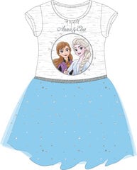 Suknelė mergaitėms Disney Frozen, įvairių spalvų kaina ir informacija | Suknelės mergaitėms | pigu.lt