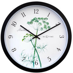 Nextime Уличные настенные часы Anethium 4315 цена и информация | Часы | pigu.lt