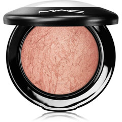 Pudra Mac Mineralize Skinfinish Cheeky Bronze Highlighter, 10 g цена и информация | Пудры, базы под макияж | pigu.lt