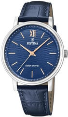 Festina Солнечная энергия 20660/4 цена и информация | Мужские часы | pigu.lt