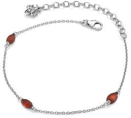 Hot Diamonds Серебряный браслет для родившихся в июле Anais Carnelian AB007 цена и информация | Женские браслеты | pigu.lt