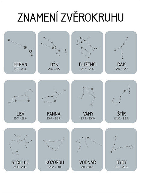 Sidabrinis kaklo papuošalas moterims JVD Aries SVLN0327XH2BIBE цена и информация | Kaklo papuošalai | pigu.lt