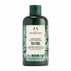 Plaukų kondicionierius riebiems plaukams The Body Shop Tea Tree, 250 ml kaina ir informacija | Balzamai, kondicionieriai | pigu.lt