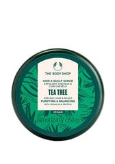 Galvos odos šveitiklis The Body Shop Tea Tree, 240 ml kaina ir informacija | Priemonės plaukų stiprinimui | pigu.lt