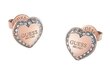 Auskarai moterims Guess Fine Heart JUBE01427JWRGT/U sGU2482 цена и информация | Auskarai | pigu.lt