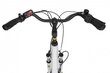 Elektrinis dviratis Xofo Ecobike Basic Nexus 28", 2023, 8.7Ah, baltas kaina ir informacija | Elektriniai dviračiai | pigu.lt