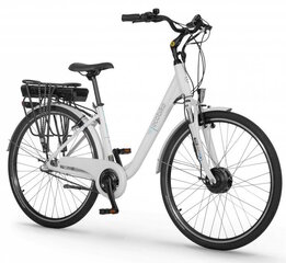 Elektrinis dviratis Xofo Ecobike Basic Nexus 28", 2023, 8.7Ah, baltas цена и информация | Электровелосипеды | pigu.lt