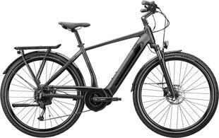 Электрический велосипед GZR Forzar-e 2023, 49 см, серый цвет цена и информация | Электровелосипеды | pigu.lt
