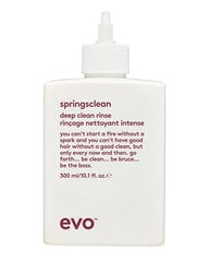 Šampūnas garbanotiems ir banguotiems plaukams Evo Springsclean Deep Clean, 300 ml цена и информация | Шампуни | pigu.lt