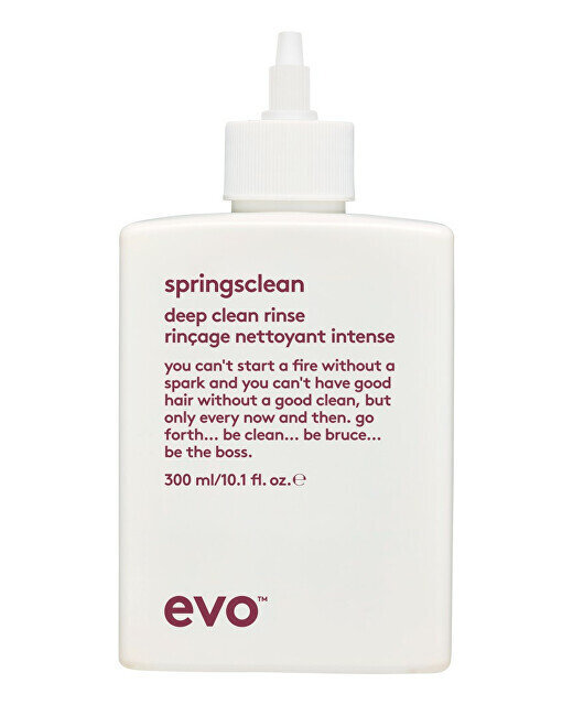 Šampūnas garbanotiems ir banguotiems plaukams Evo Springsclean Deep Clean, 300 ml kaina ir informacija | Šampūnai | pigu.lt