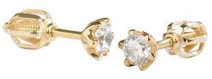 Auksiniai auskarai su kristalais moterims Brilio 236 001 00765 sBR0639 kaina ir informacija | Auskarai | pigu.lt