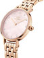 Laikrodis moterims Daniel Wellington DW00100617 kaina ir informacija | Moteriški laikrodžiai | pigu.lt