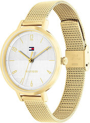 Tommy Hilfiger Флоренция 1782579 цена и информация | Женские часы | pigu.lt