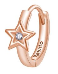 Rosato Одиночные серьги из бронзы Storie Allegra Star RZO065 sRO1447 цена и информация | Серьги | pigu.lt