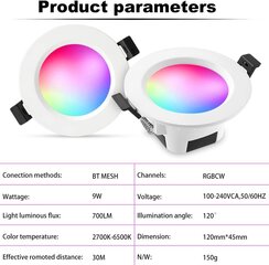 GEYUEYA потолочный светодиодный RGBW, 2700-6500K, 9 Вт, 230В цена и информация | Монтируемые светильники, светодиодные панели | pigu.lt