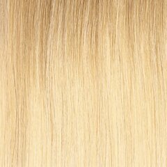 Prisegamų plaukų uodega Balmain Catwalk Ponytail Stokholmas kaina ir informacija | Plaukų aksesuarai | pigu.lt