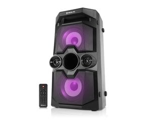 Портативная колонка REAL-EL X-771, Bluetooth, 50 Вт, USB, AUX, Micro SD, питание от аккумулятора цена и информация | Аудиоколонки | pigu.lt