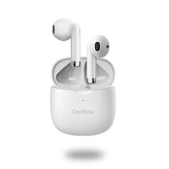 CoolBox TWS-01 White цена и информация | Теплая повязка на уши, черная | pigu.lt