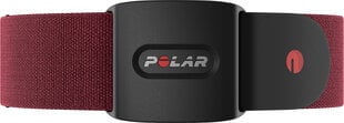 Polar Verity Sense M-XXL, Dark Red цена и информация | POLAR Умные часы и браслеты | pigu.lt