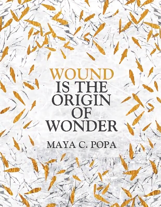 Wound is the Origin of Wonder цена и информация | Poezija | pigu.lt