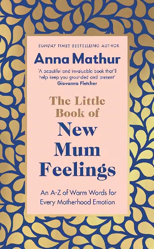 Little Book of New Mum Feelings: An A-Z of Warm Words for Every Motherhood Emotion kaina ir informacija | Saviugdos knygos | pigu.lt