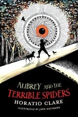 Aubrey and the Terrible Spiders цена и информация | Книги для подростков  | pigu.lt