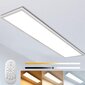 Dimeruojamos LED lubų šviesos panelės 120x30 cm su nuotolinio valdymo pulteliu 40W kaina ir informacija | Elektros lemputės | pigu.lt