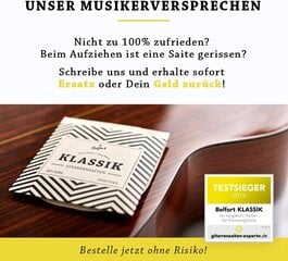 Klasikinės gitaros stygos Belfort kaina ir informacija | Priedai muzikos instrumentams | pigu.lt