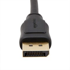 Основы Amazon - подключение кабеля, DisplayPort на DisplayPort, 3 м. цена и информация | Кабели и провода | pigu.lt