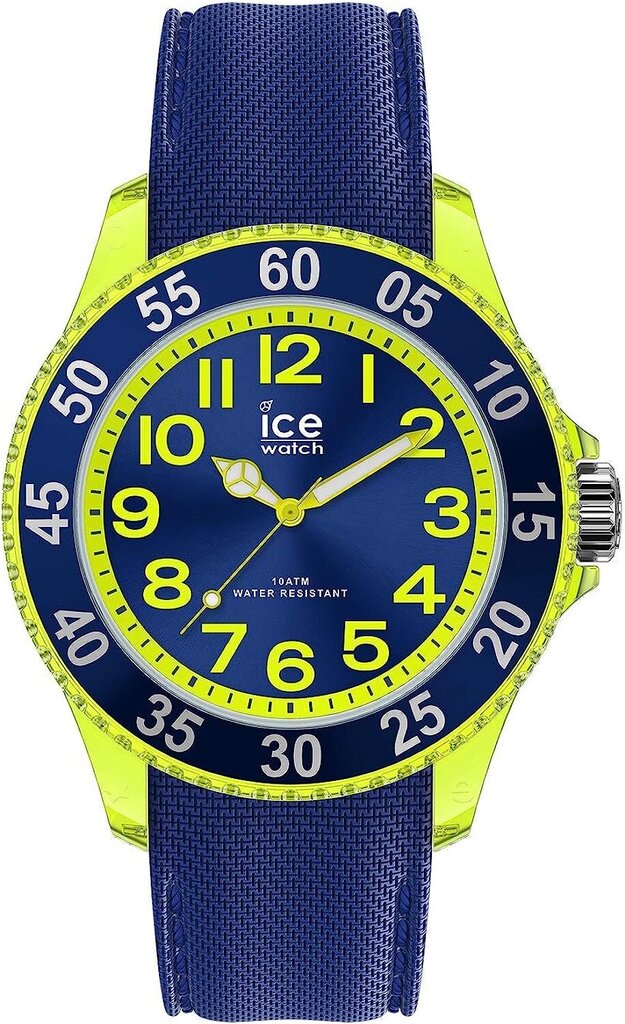 Laikrodis vyrams Ice Watch B084KPPL8R kaina ir informacija | Vyriški laikrodžiai | pigu.lt