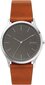 Laikrodis vyrams Skagen Men Jorn B085B58NL7 цена и информация | Vyriški laikrodžiai | pigu.lt