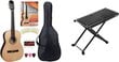 Klasikinė gitara Cantabile AS-851 44385 kaina ir informacija | Gitaros | pigu.lt