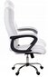 Biuro kėdė Giosedio FBS002, balta kaina ir informacija | Biuro kėdės | pigu.lt