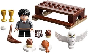 30420 LEGO® Harry Potter цена и информация | Конструкторы и кубики | pigu.lt