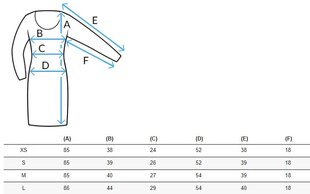 Moteriška suknelė Clara kaina ir informacija | Suknelės | pigu.lt