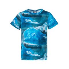 Детская футболка Lenne Terry 23914*6589, синяя/белая цена и информация | Рубашка для мальчиков | pigu.lt