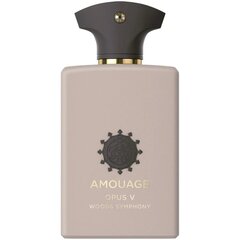 Парфюмированная вода Amouage Opus V EDP для мужчин/женщин, 100 мл цена и информация | Женские духи | pigu.lt