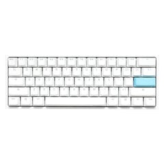 Ducky One 2 Pro Mini цена и информация | Клавиатуры | pigu.lt