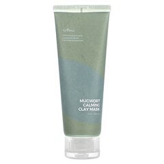 Глиняная маска с полынью Isntree Mugwort Clay Mask, 100мл цена и информация | Маски для лица, патчи для глаз | pigu.lt