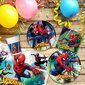 Vienkartinių indų rinkinys Spiderman, 66 vnt. kaina ir informacija | Vienkartiniai indai šventėms | pigu.lt